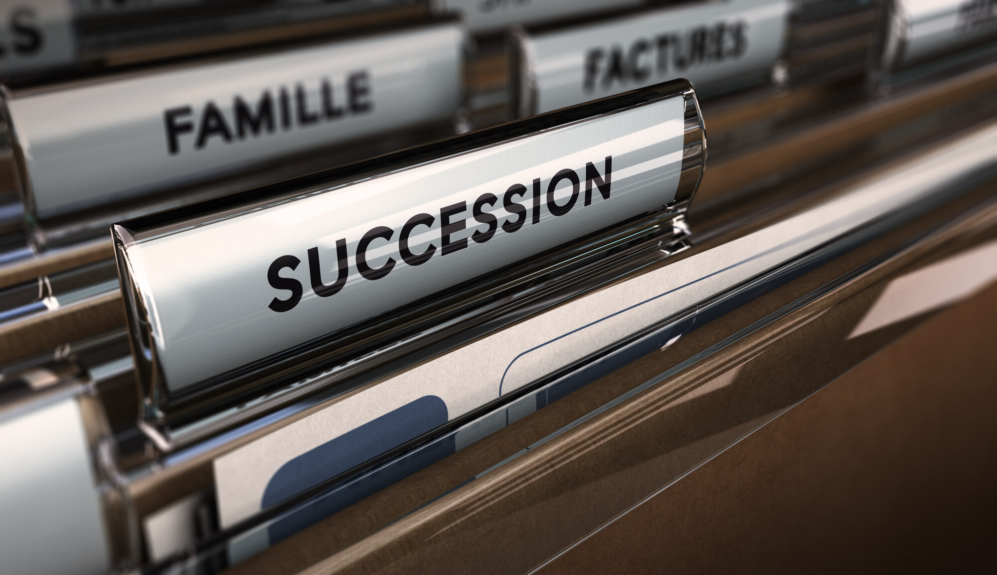 litige succession protection juridique