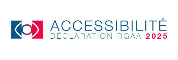 declaration-rgaa-logo